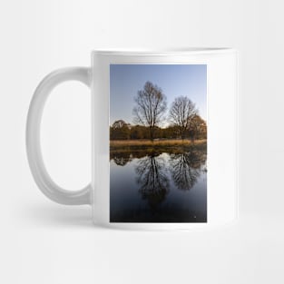 Richmond Park Morning Mug